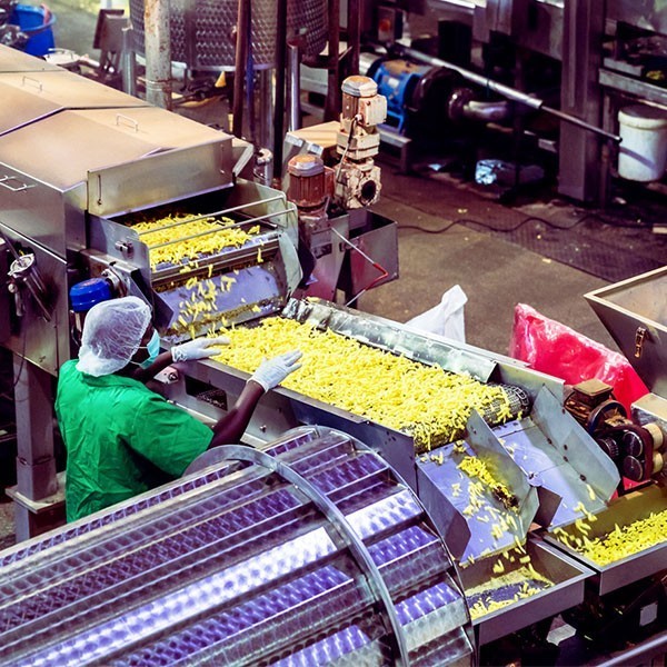 Nahrungsmittelindustrie – Food Processing Industry (N-thalpie GmbH)